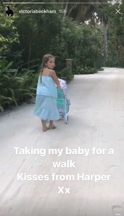 3badf7b500000578-4070468-taking_my_baby_for_a_walk_victoria_beckham_couldn_t_resist_lavis-m-15_1482923827543