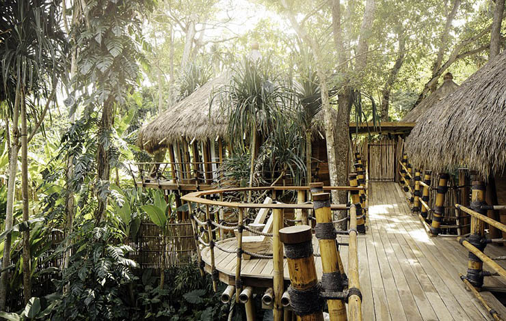 4F12803200000578-6057027-Jungle_paradise_The_resort_is_surrounded_by_270_hectares_of_lush-a-3_1534229615704