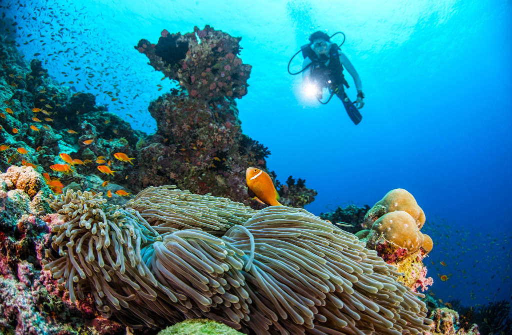 Dusit Thani Maldives