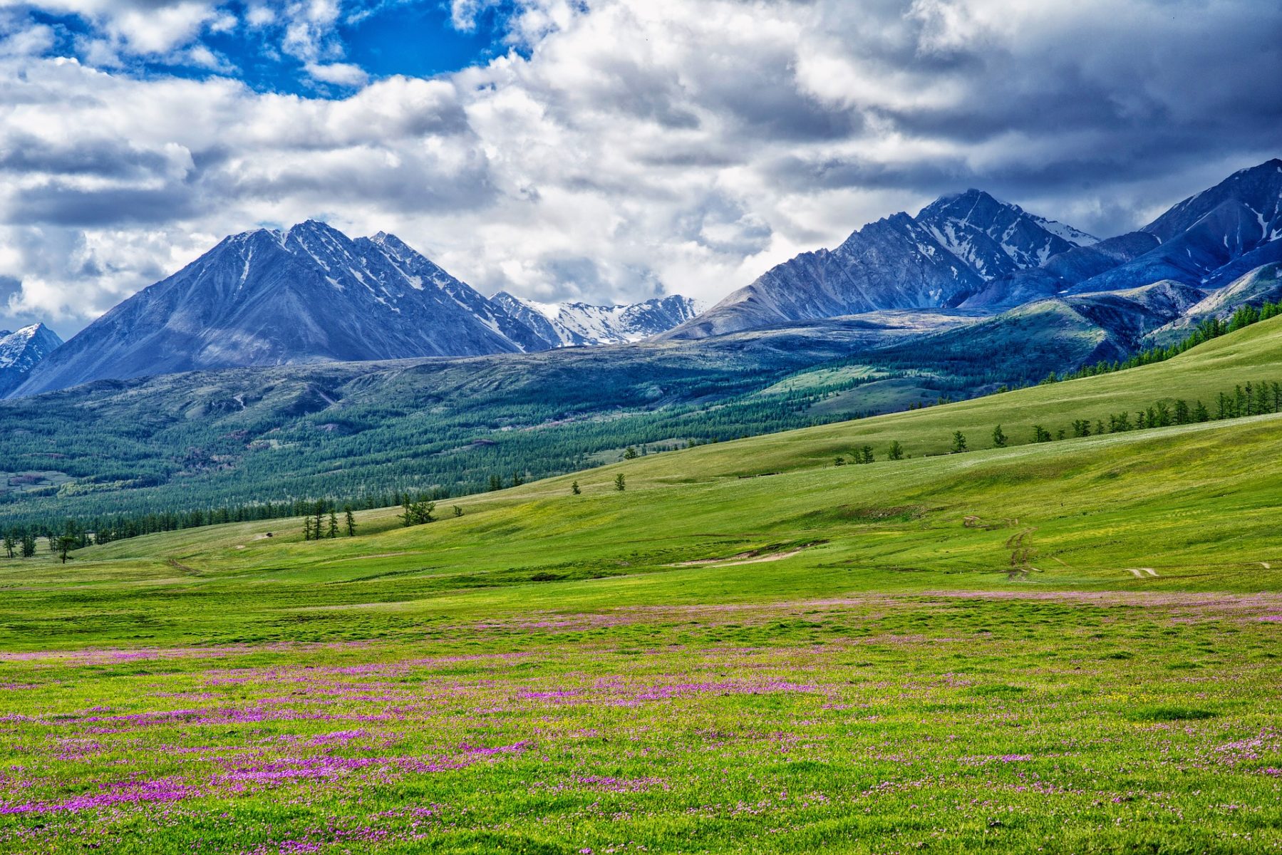 Степи и горы Монголии